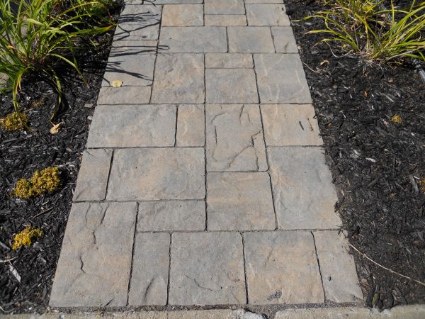 Stamped Concrete Staining Service